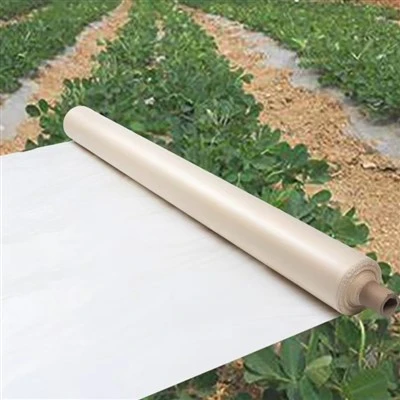 Papier de paillis dégradable à base de nutriments-pour les cultures